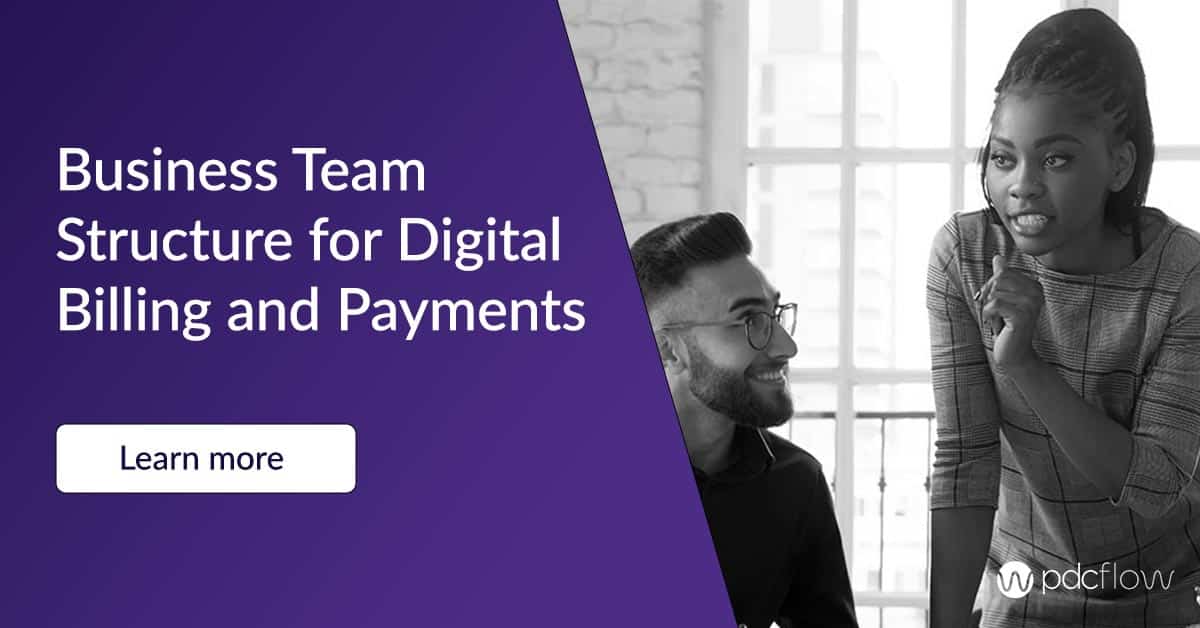Business Team Structure for Digital Billing and Payments