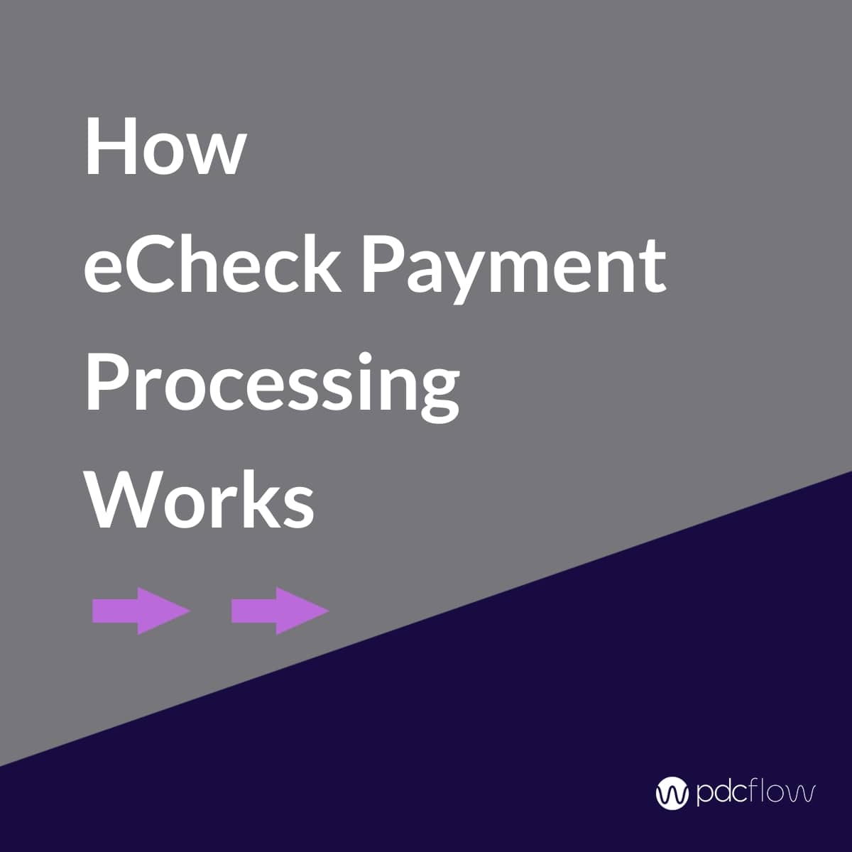 How eCheck Payment Processing Works
